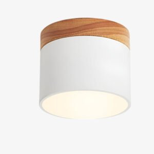 LichtKunst - PastelGlow LED Deckenlampe Modernes Design